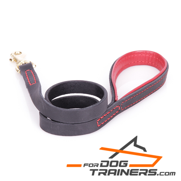 Leather Dog Leash with Padded Handle