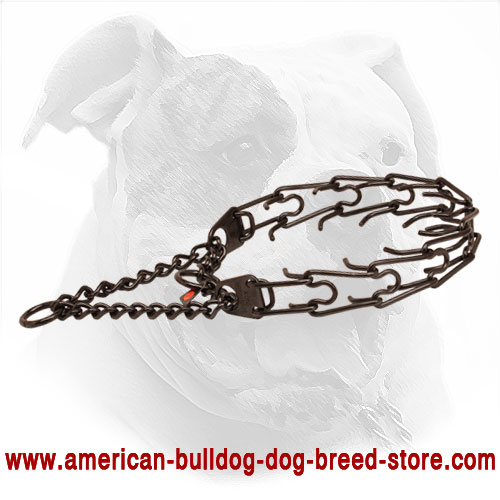Black Dog Prong Collar Made of Stainless Steel