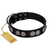 "Magic Amulete" Handcrafted FDT Artisan Black Leather American Bulldog Collar with Chrome-Plated Shields  "Magic Amulete" Handcrafted FDT Artisan Black Leather American Bulldog Collar with Chrome-Plated Shields