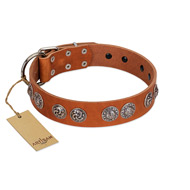 "Woofy Majesty" FDT Artisan Tan Leather American Bulldog Collar with Round Silver-like Plates  "Woofy Majesty" FDT Artisan Tan Leather American Bulldog Collar with Round Silver-like Plates