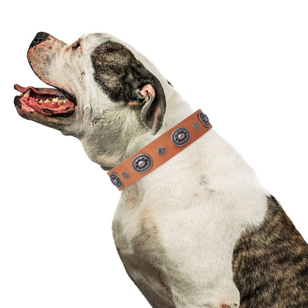 Natural leather dog collar with corrosion proof buckle and D-ring for handy use