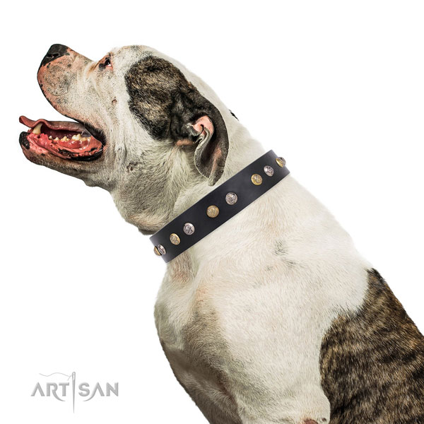 Leather dog collar with corrosion resistant buckle and D-ring for everyday walking
