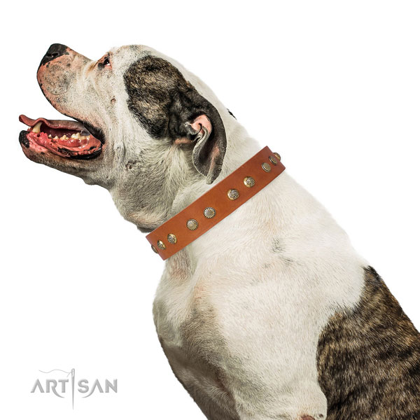 Designer decorations on handy use natural genuine leather dog collar