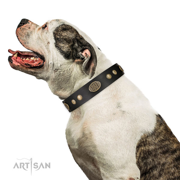 Corrosion resistant D-ring on natural leather dog collar for daily use