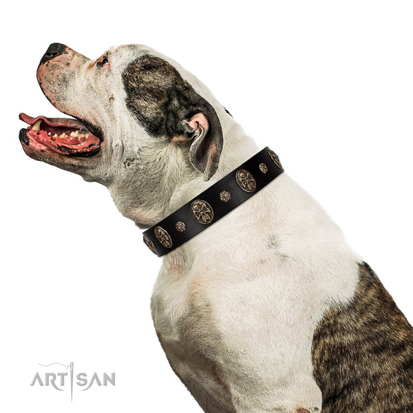 Easy wearing dog collar of natural leather with fashionable adornments