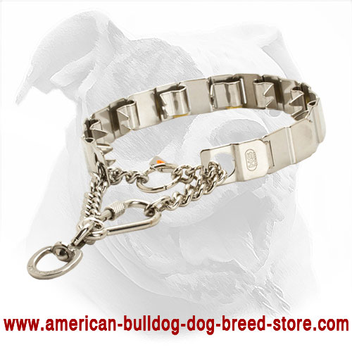  Obedient Pinch American Bulldog Collar 