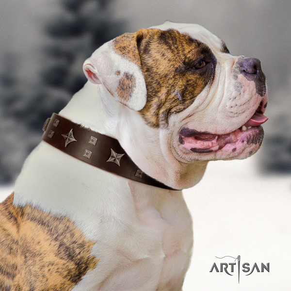 American Bulldog handcrafted full grain genuine leather dog collar for everyday walking