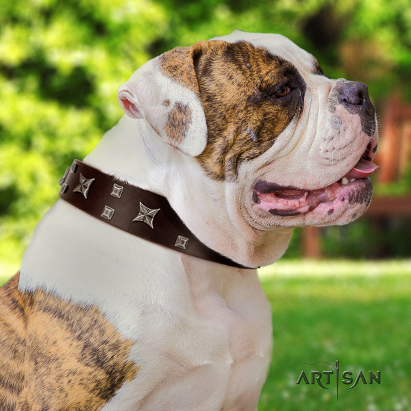 American Bulldog unique full grain genuine leather dog collar for stylish walking