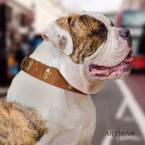 American Bulldog easy to adjust full grain genuine leather dog collar for handy use