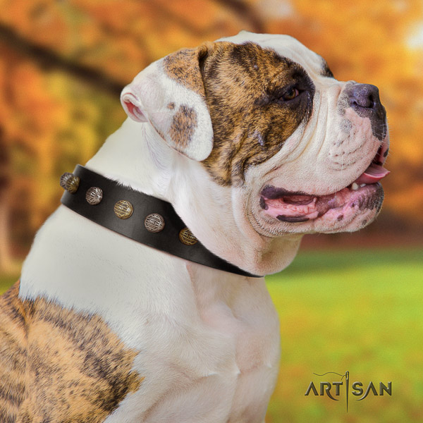 American Bulldog stylish design genuine leather dog collar for comfortable wearing