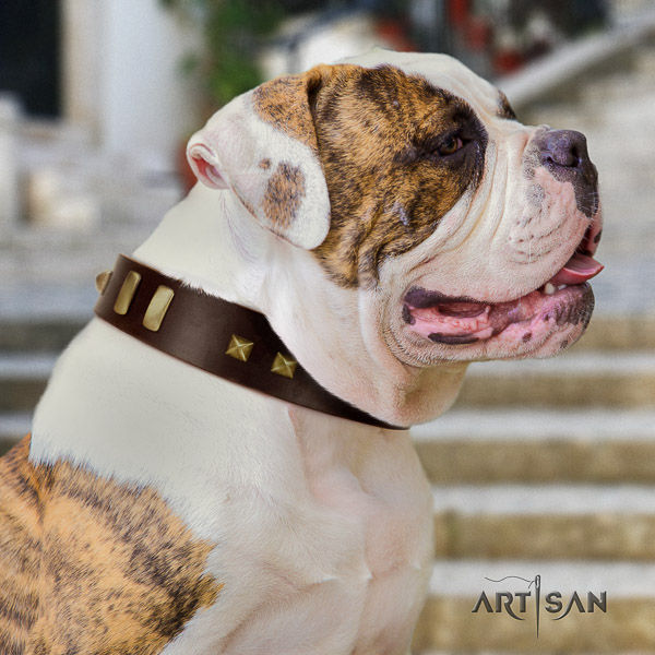 American Bulldog stylish design full grain leather dog collar for easy wearing