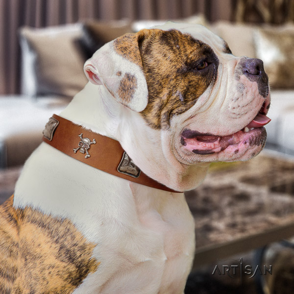 American Bulldog decorated full grain natural leather dog collar for easy wearing