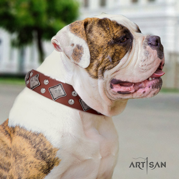 American Bulldog unusual genuine leather dog collar with decorations for basic training