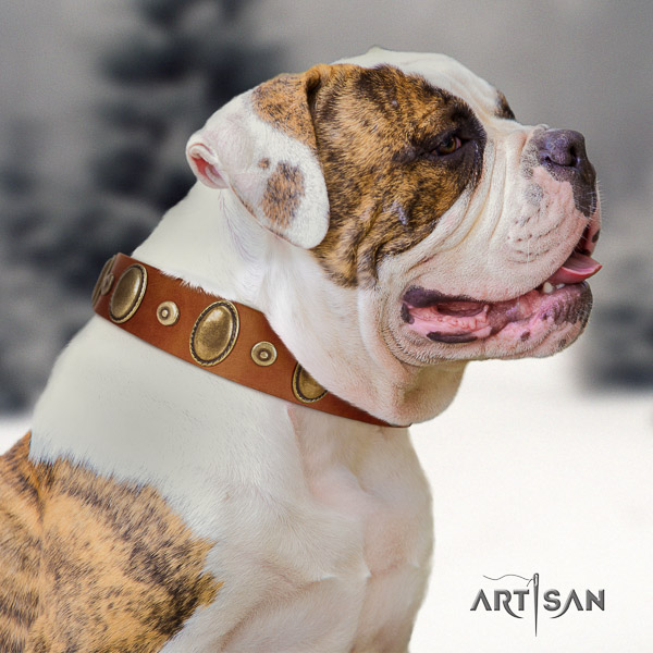 American Bulldog stylish design leather dog collar for comfortable wearing
