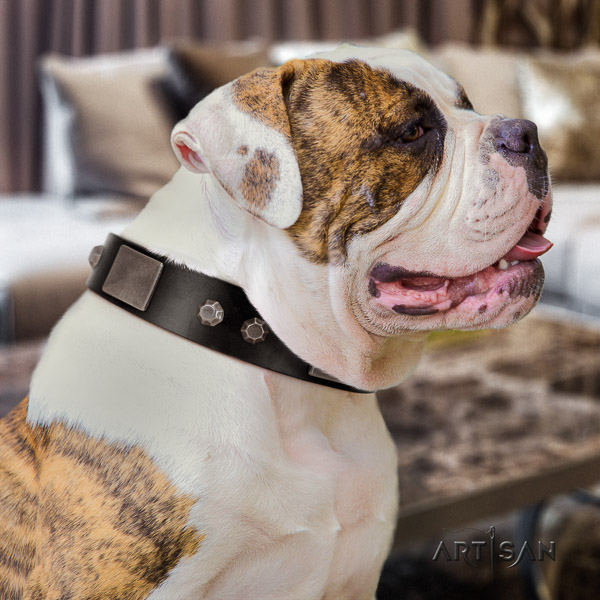American Bulldog unusual full grain leather dog collar for handy use