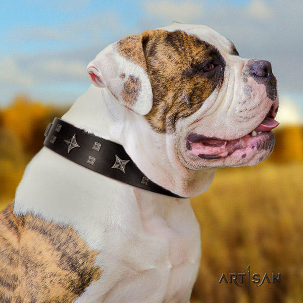 American Bulldog decorated leather dog collar for handy use