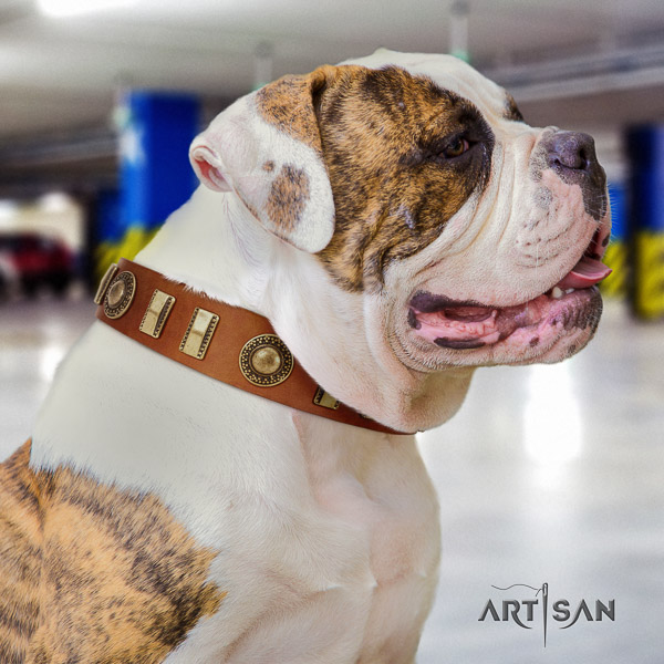 American Bulldog inimitable genuine leather dog collar for fancy walking