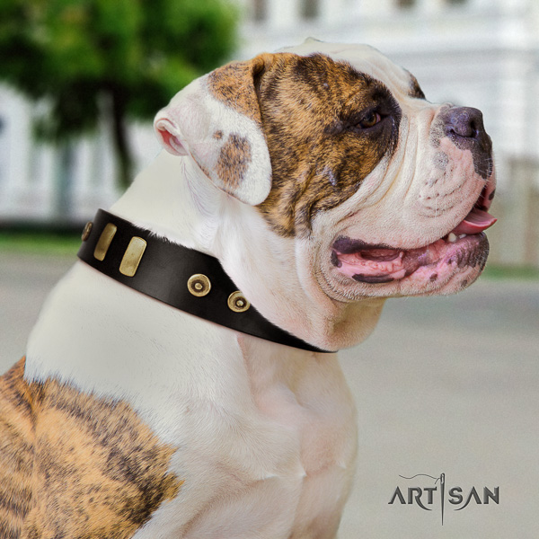 American Bulldog unique natural genuine leather dog collar for easy wearing