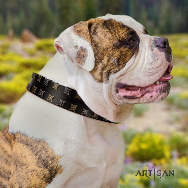 American Bulldog inimitable natural genuine leather dog collar for basic training