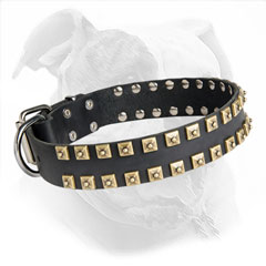 Designer Studded Leather American Bulldog Collar