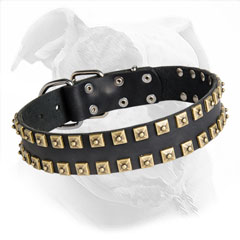 Studded with Gold Color Brass Studs Leather Collar for Fashion Walking