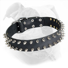 Leather AMerican Bulldog Collar with Spikes