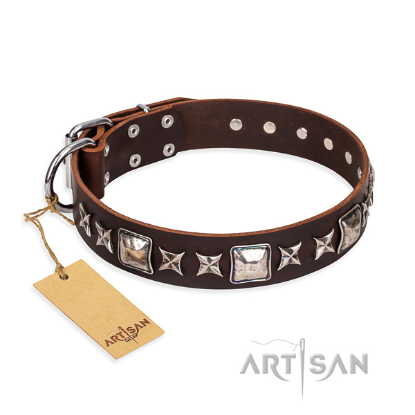 Unique full grain natural leather dog collar for walking