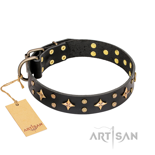Walking genuine leather collar with adornments for your dog