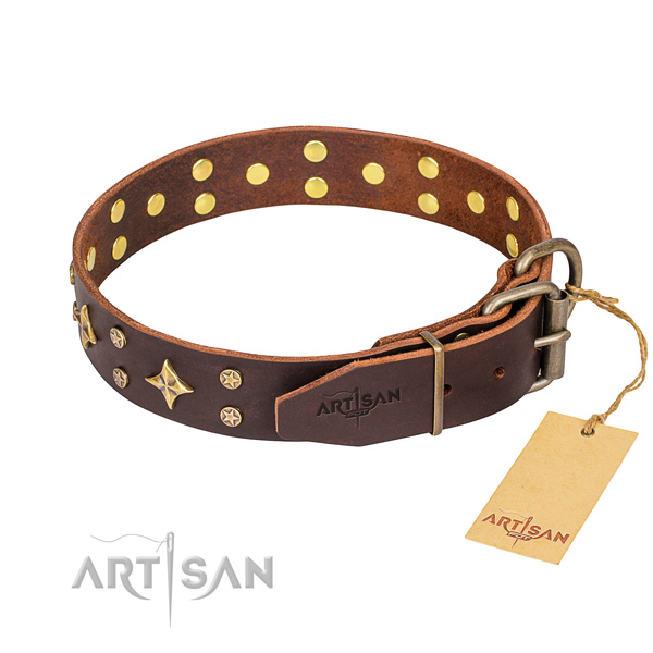 Daily walking leather collar with adornments for your dog