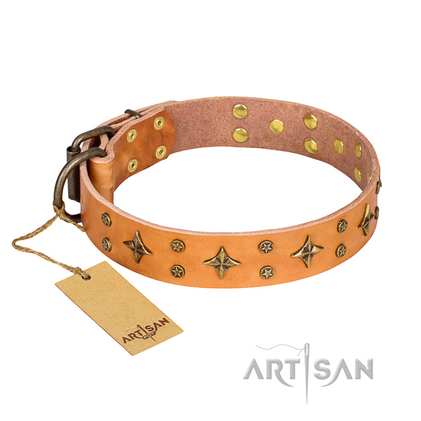 Awesome full grain genuine leather dog collar for everyday walking