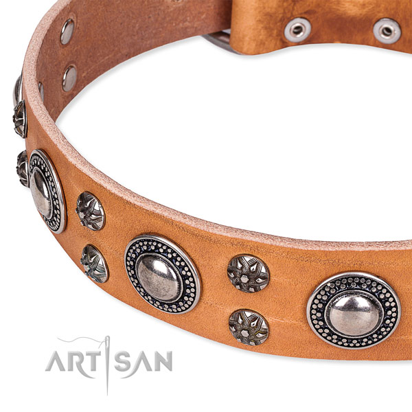 Daily use genuine leather collar with strong buckle and D-ring