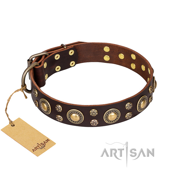 Significant full grain genuine leather dog collar for everyday use