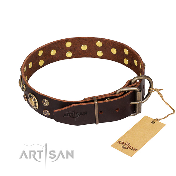 Walking natural genuine leather collar with embellishments for your pet