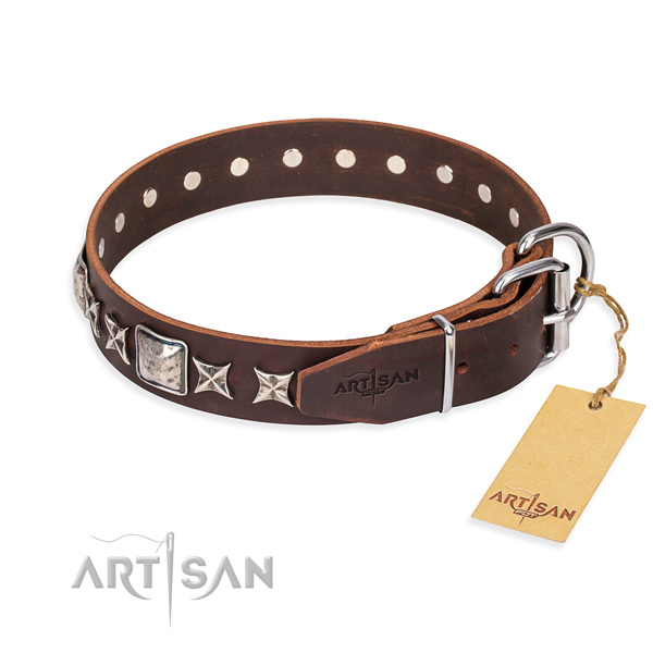 Daily walking full grain leather collar with studs for your four-legged friend