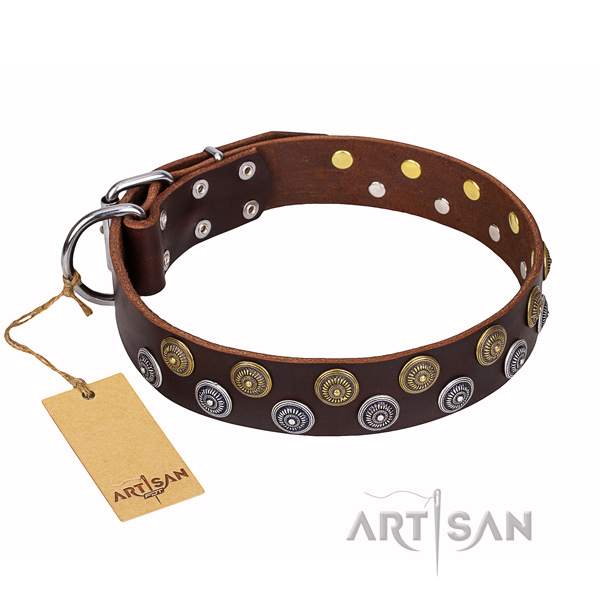 Handy use full grain leather collar with embellishments for your canine