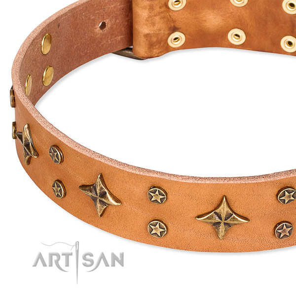Full grain genuine leather dog collar with extraordinary embellishments