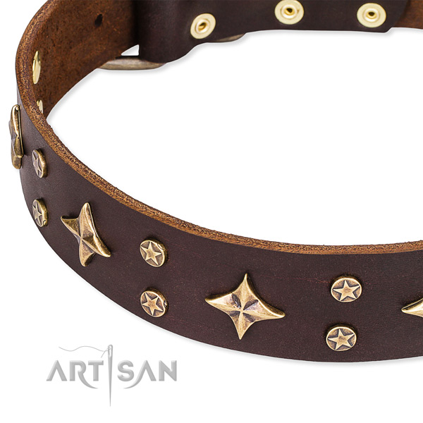 Full grain genuine leather dog collar with unusual decorations
