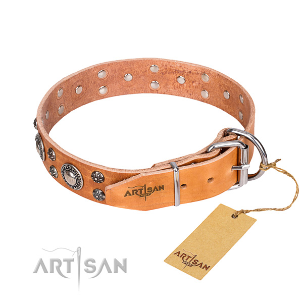 Stylish walking genuine leather collar with embellishments for your canine
