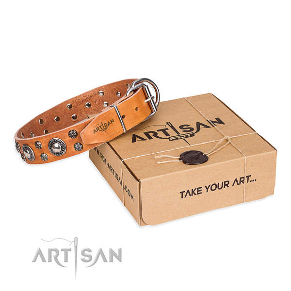 Best quality full grain natural leather dog collar for everyday walking