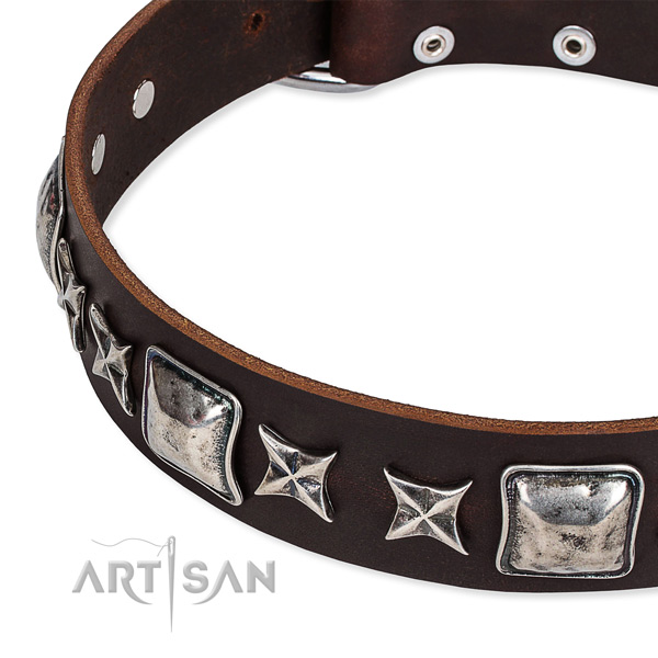 Full grain genuine leather dog collar with embellishments for comfy wearing