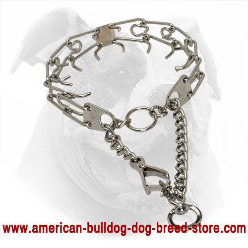 Strong Pinch American Bulldog Collar