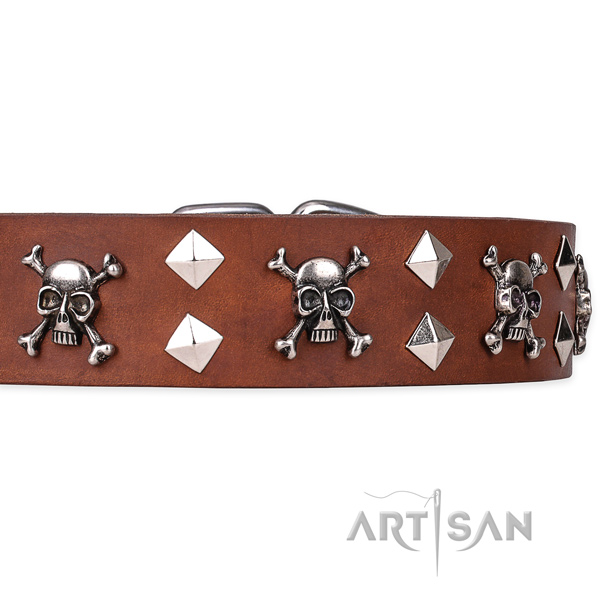 Heavy-duty leather dog collar with strong elements