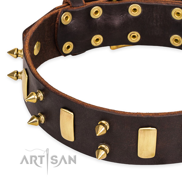 Easy to put on/off leather dog collar with resistant brass plated set of hardware