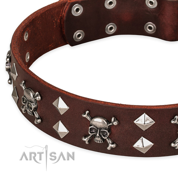 Day-to-day leather dog collar for reliable usage