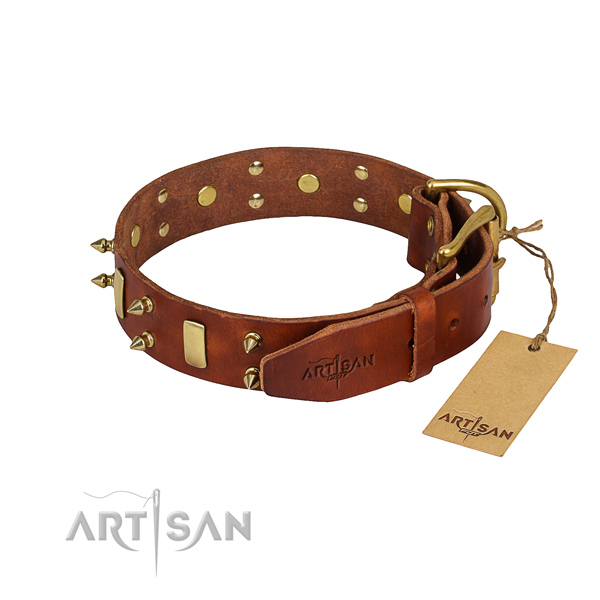 Natural leather dog collar with polished exterior