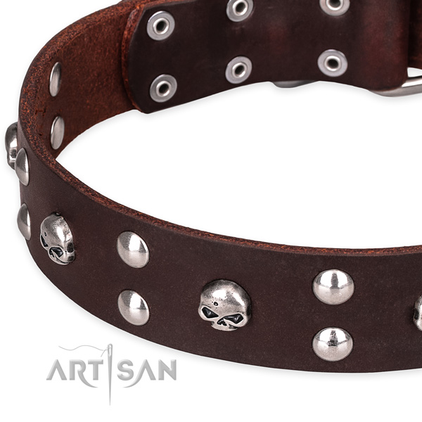 Everyday leather dog collar with exceptional adornments