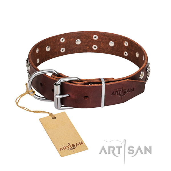 Daily leather dog collar with fancy studs