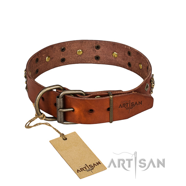 Sturdy leather dog collar with corrosion-resistant hardware
