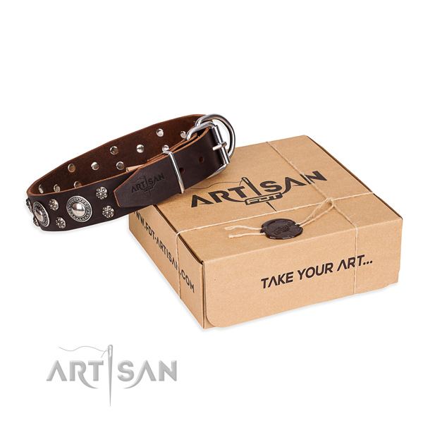 Everyday leather dog collar with fancy studs