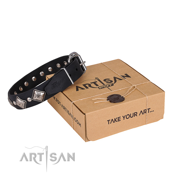 Day-to-day leather dog collar with fashionable embellishments